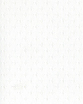 132-011 (321) Зодиак белый